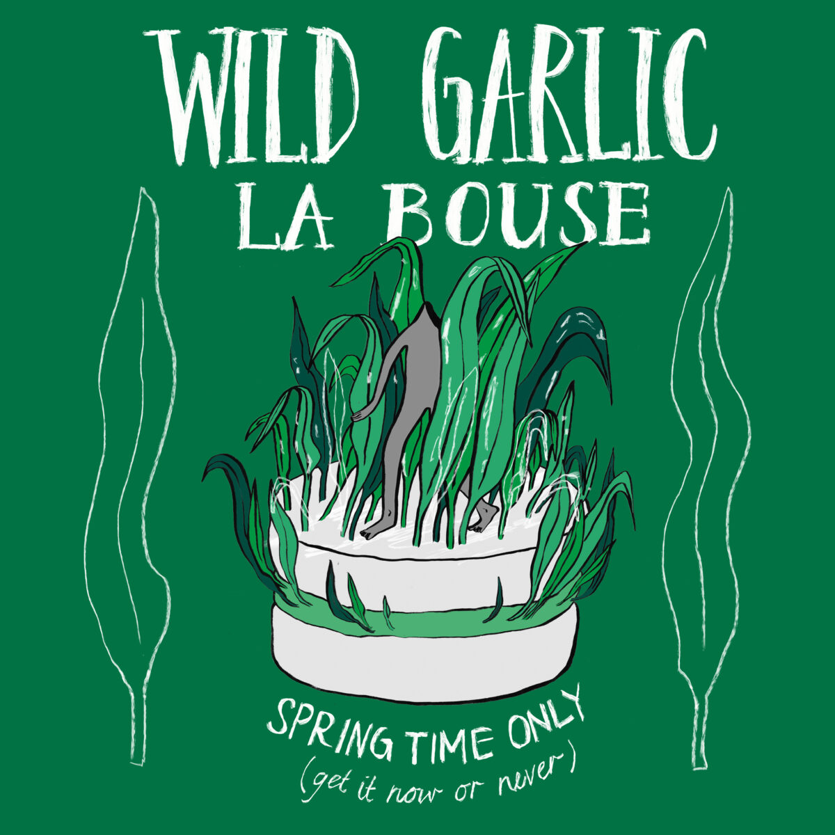 Discover The Wild Flavors: A Guide To Sourcing Wild Garlic