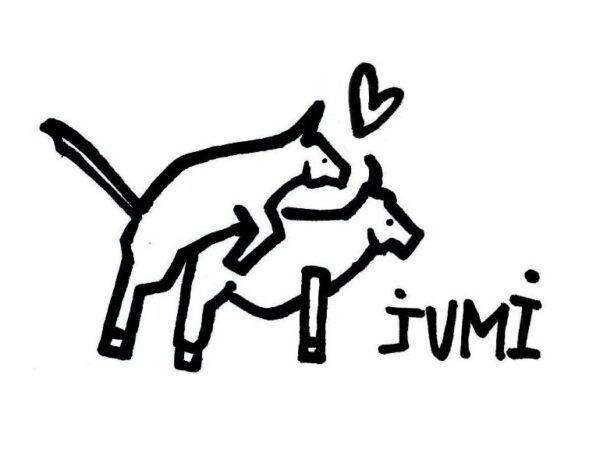 Jumi Voucher (Gift Card) - Online